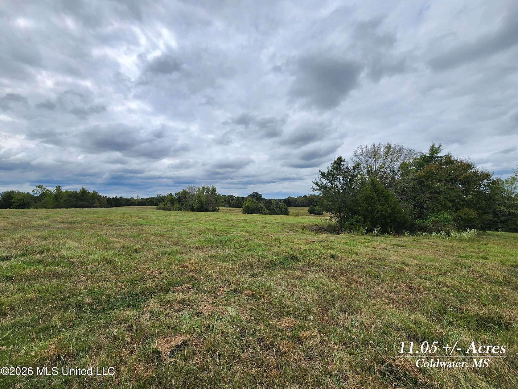 11 Acres of Recreational & Residential Land for Sale in Coldwater, Mississippi