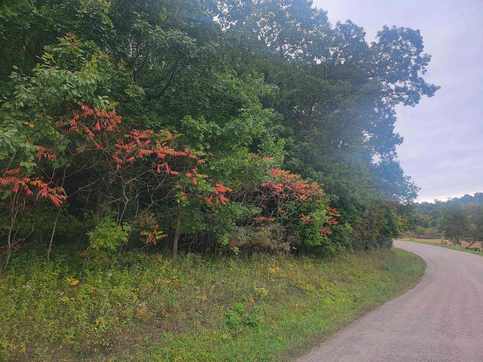 2 Acres of Residential Land for Sale in Hillsboro, Wisconsin