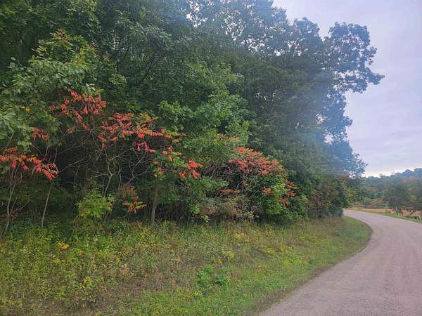2 Acres of Residential Land for Sale in Hillsboro, Wisconsin