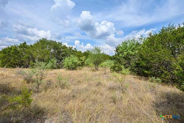 25 Acres of Land for Sale in Evant, Texas