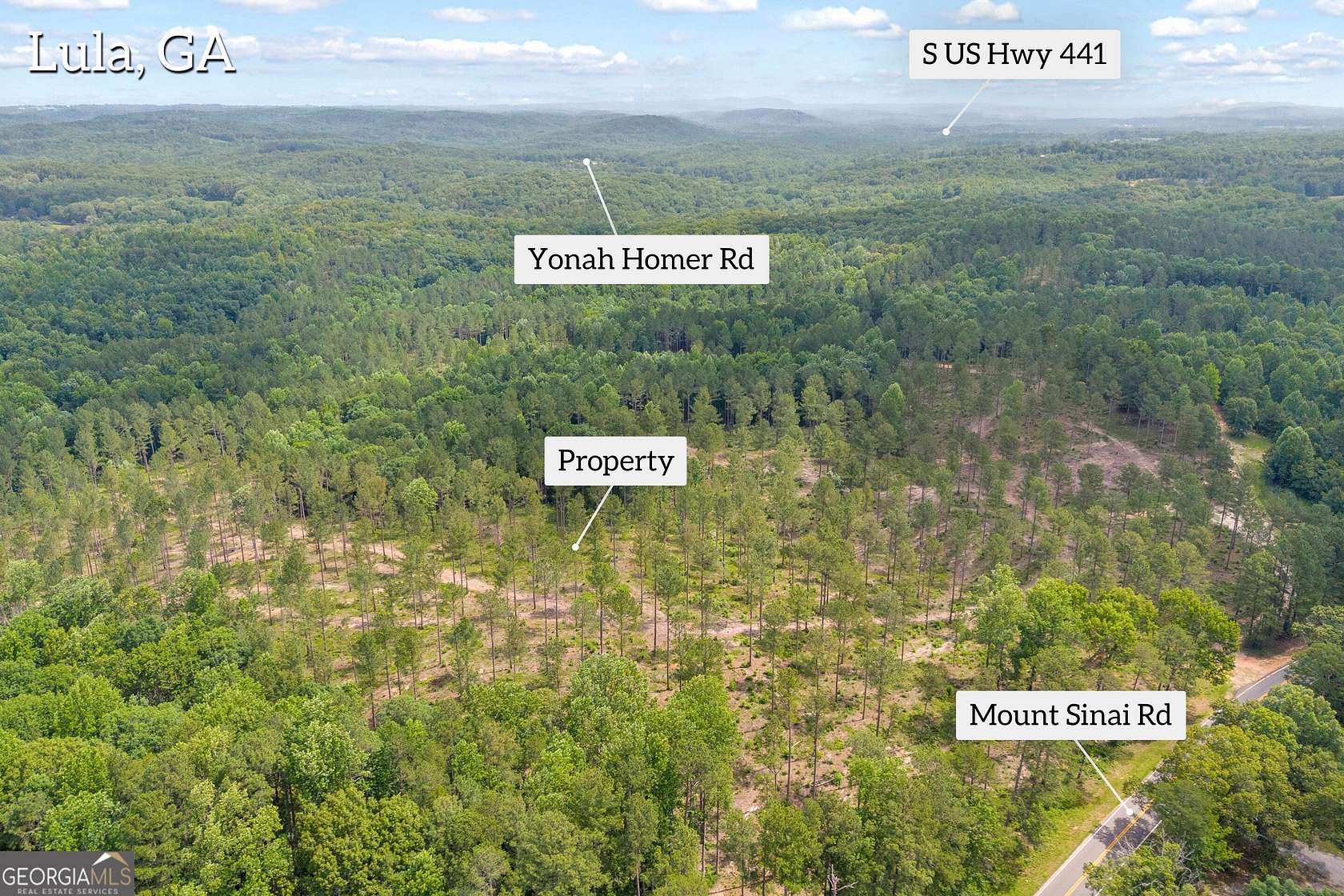 32.4 Acres of Recreational & Residential Land for Sale in Lula, Georgia