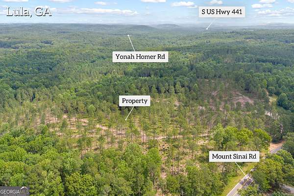 32.4 Acres of Recreational & Residential Land for Sale in Lula, Georgia