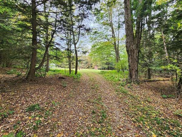 11.2 Acres of Recreational & Residential Land for Sale in Coudersport, Pennsylvania