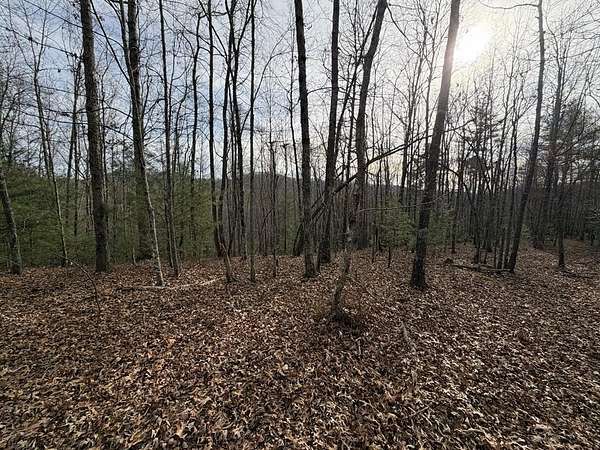 56.6 Acres of Land for Sale in Mineral Bluff, Georgia