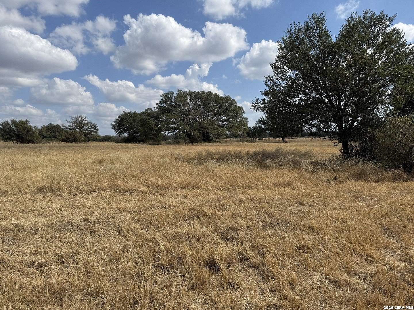 5 Acres of Residential Land for Sale in Johnson City, Texas