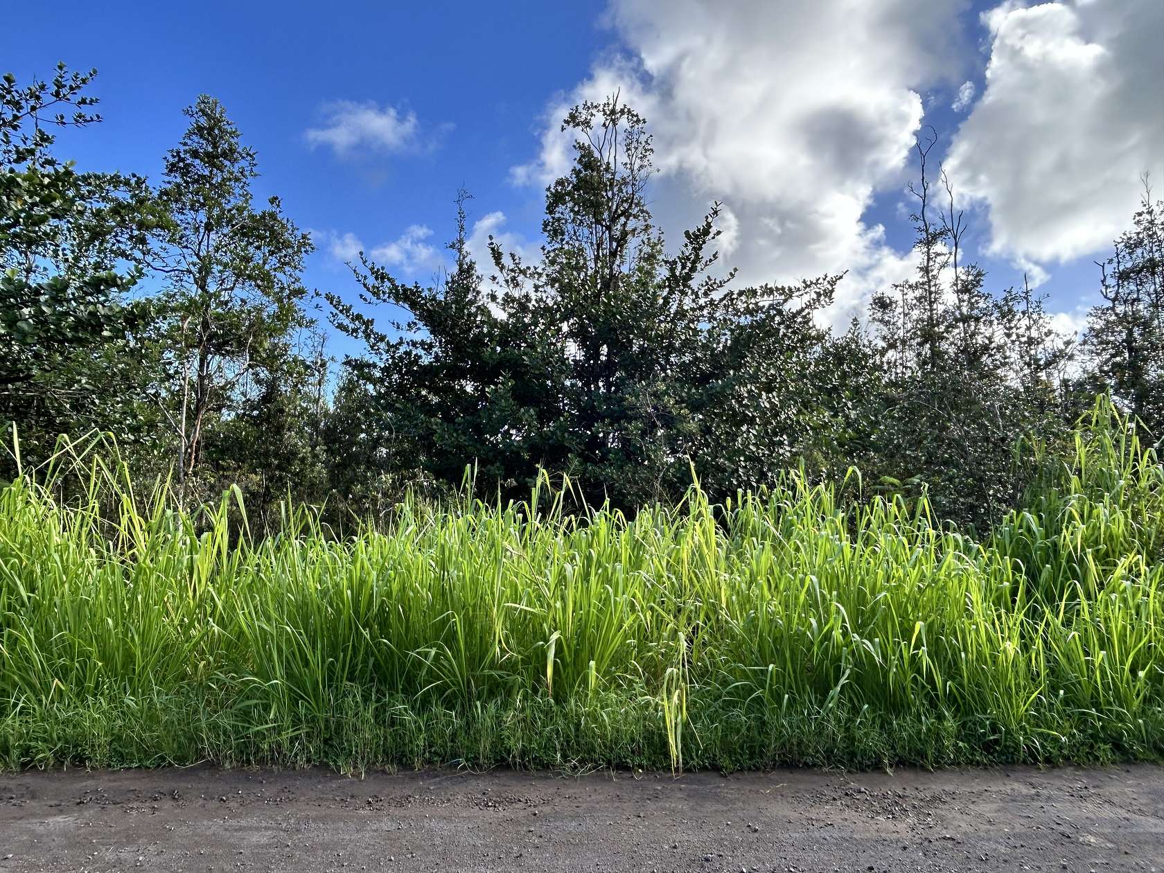 2 Acres of Residential Land for Sale in Kurtistown, Hawaii