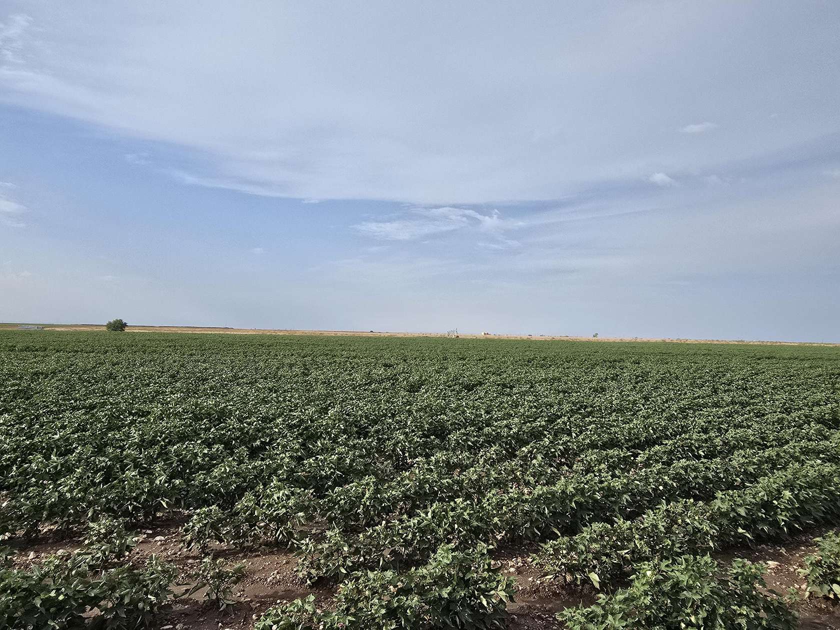31.2 Acres of Agricultural Land for Sale in Seminole, Texas