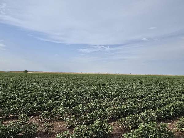 31.2 Acres of Agricultural Land for Sale in Seminole, Texas