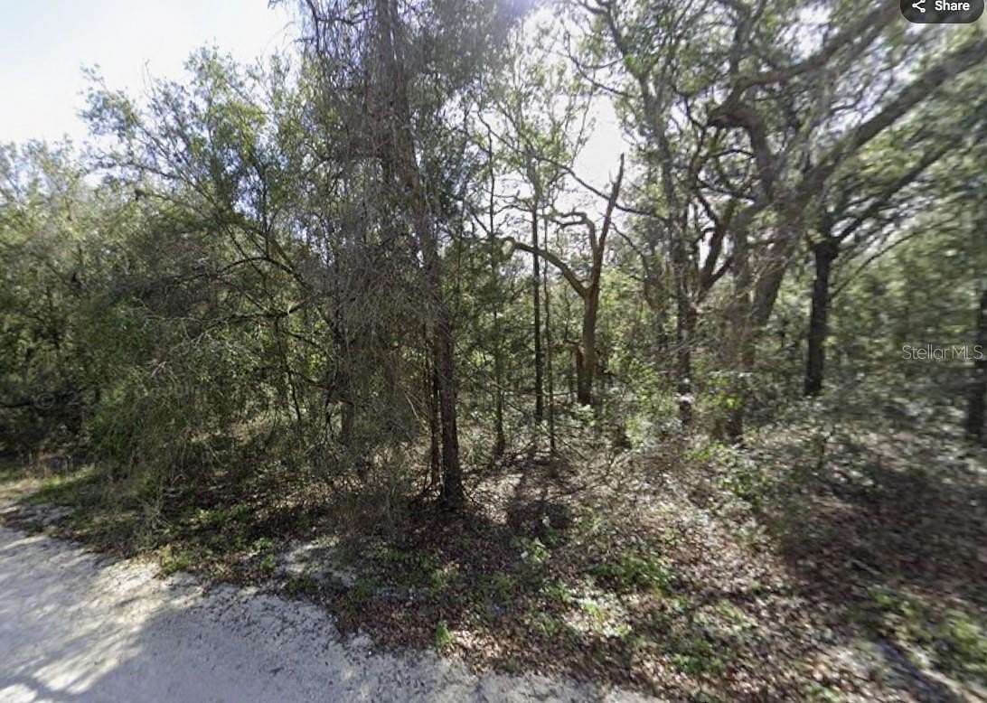 1.39 Acres of Residential Land for Sale in Webster, Florida