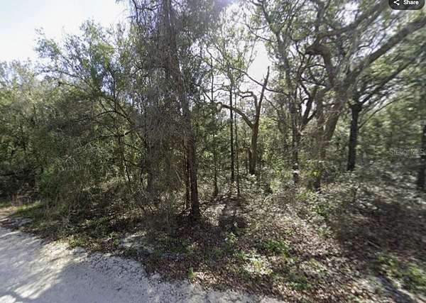 1.39 Acres of Residential Land for Sale in Webster, Florida