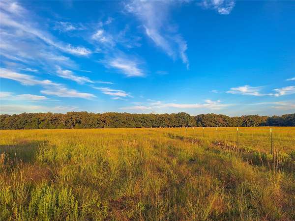17 Acres of Agricultural Land for Sale in Kemp, Texas