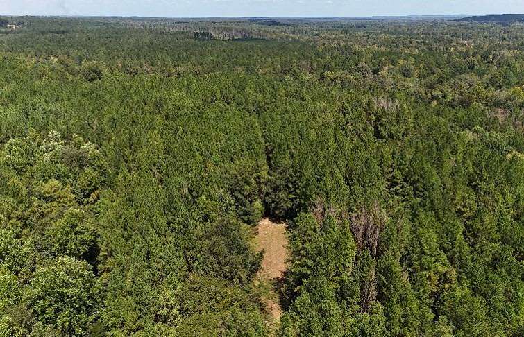 212 Acres of Recreational Land for Sale in Red Level, Alabama