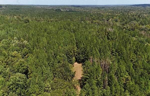 212 Acres of Recreational Land for Sale in Red Level, Alabama