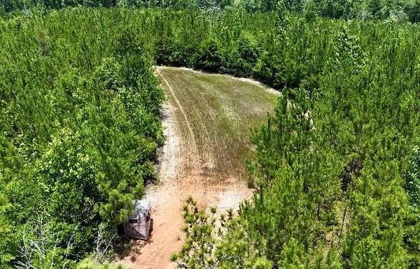 82 Acres of Recreational Land for Sale in Greenville, Alabama