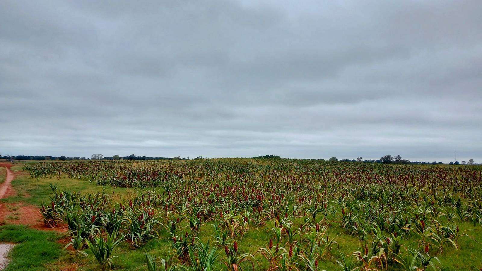 80 Acres of Agricultural Land for Sale in Crescent, Oklahoma