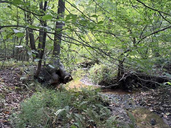 12.1 Acres of Recreational & Residential Land for Sale in Shipman, Virginia