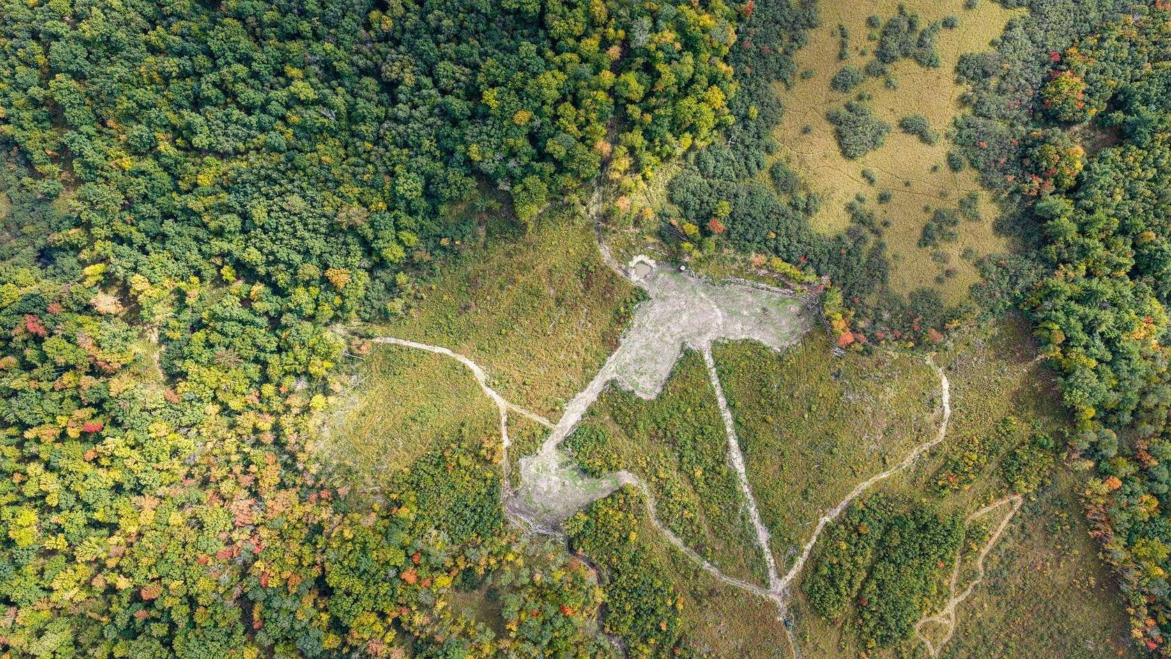 68 Acres of Land for Sale in Granton, Wisconsin