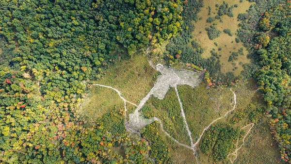 68 Acres of Land for Sale in Granton, Wisconsin