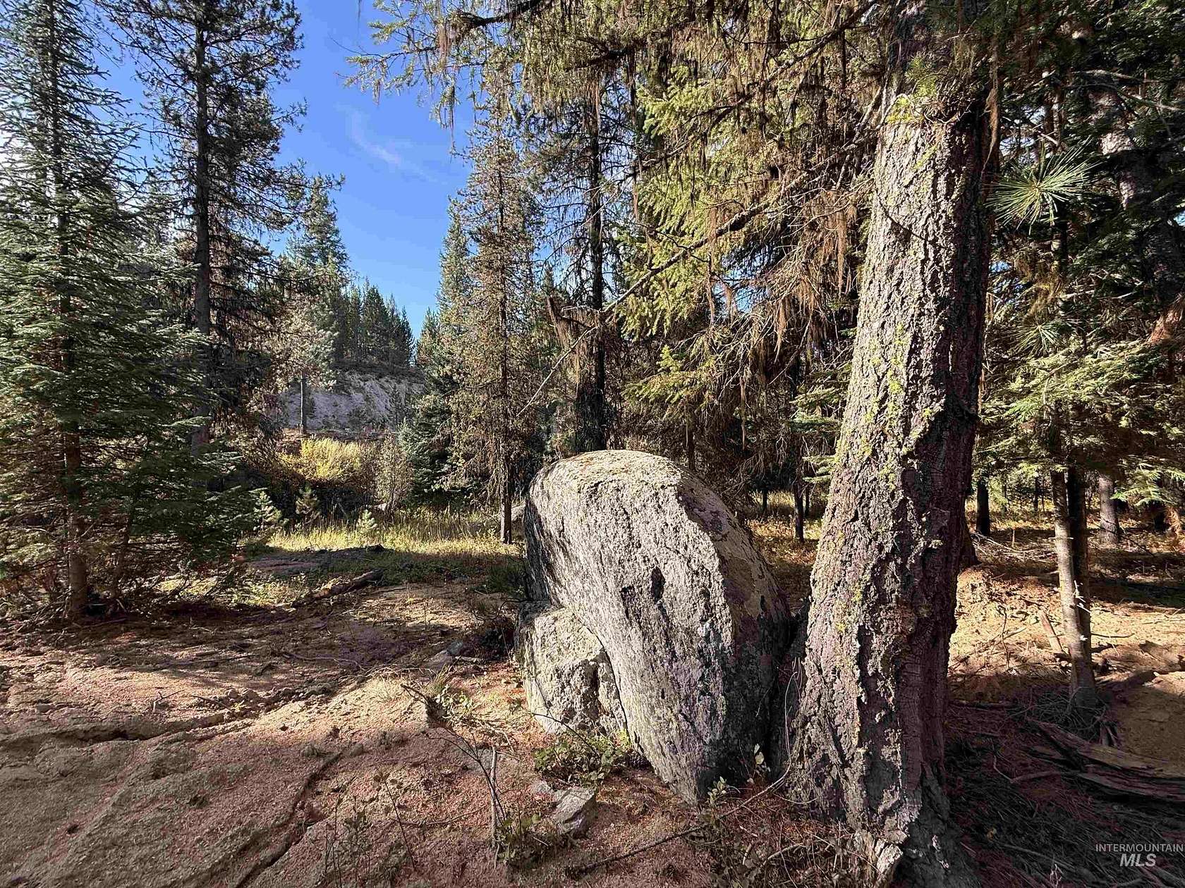 3 Acres of Residential Land for Sale in Cascade, Idaho