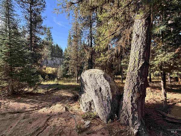 3 Acres of Residential Land for Sale in Cascade, Idaho