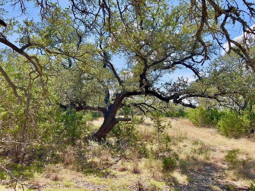 23.6 Acres of Agricultural & Residential Land for Sale in Blanco, Texas