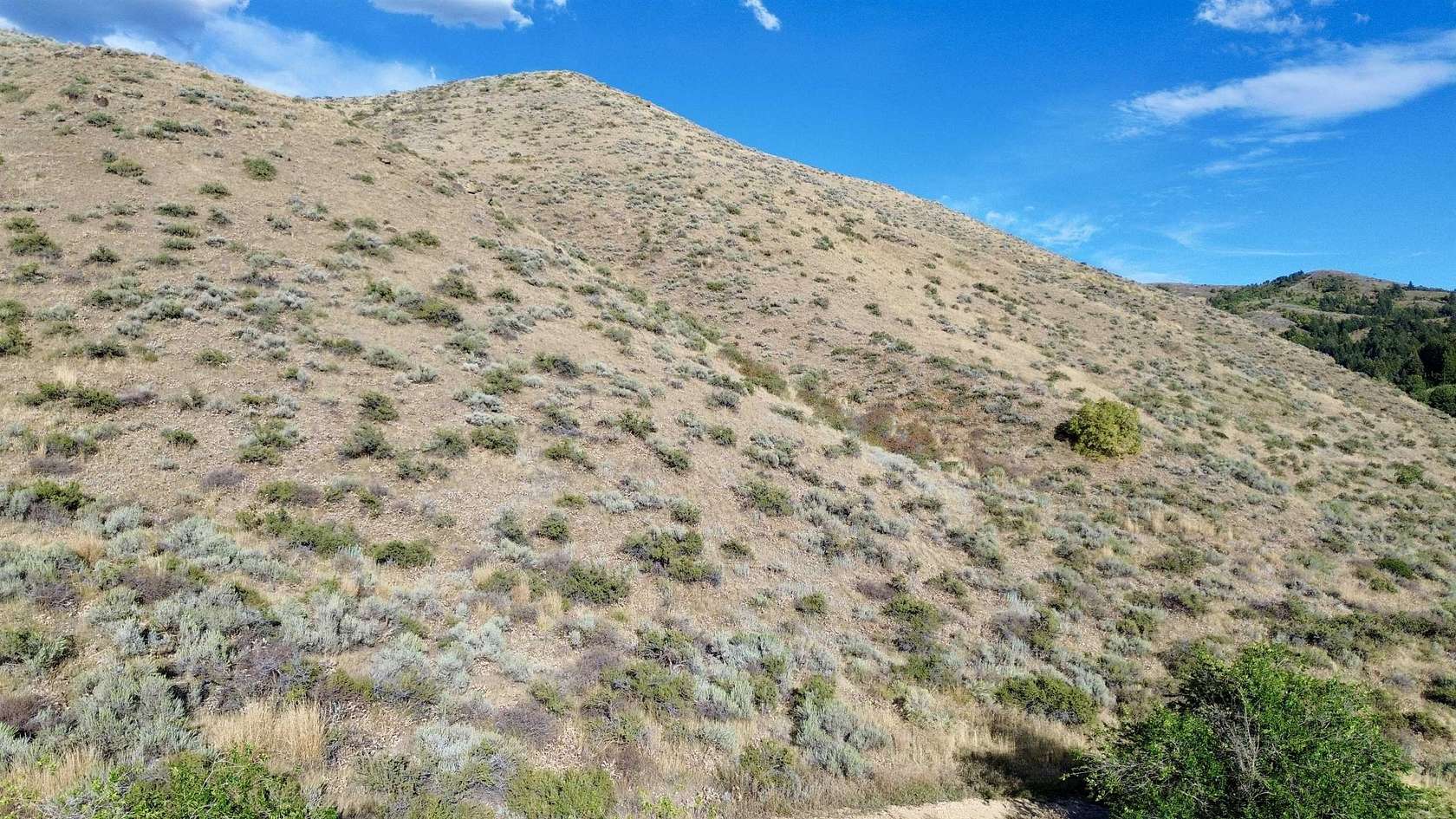 5.19 Acres of Residential Land for Sale in Pocatello, Idaho