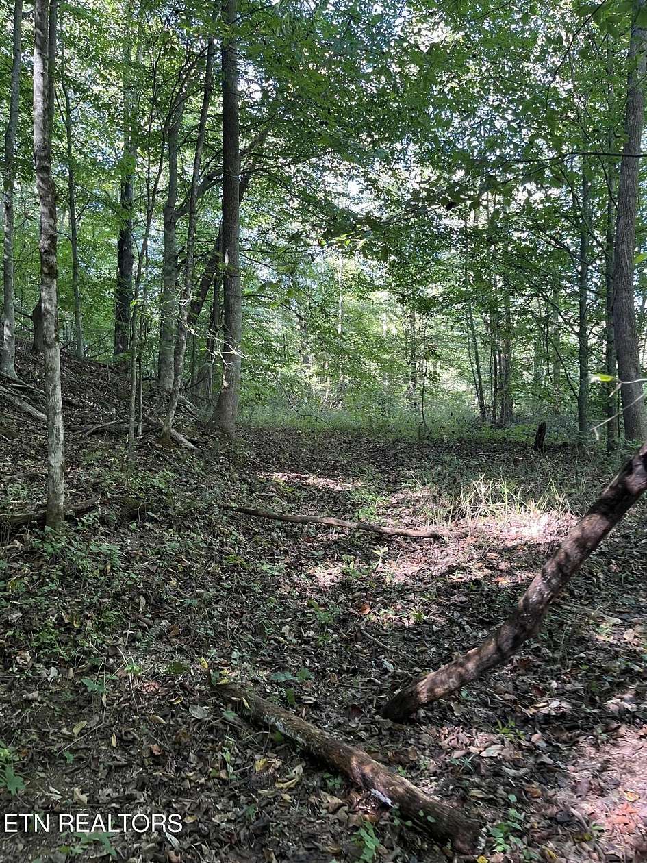 69.5 Acres of Recreational & Residential Land for Sale in Oneida, Tennessee