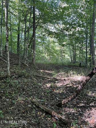 69.5 Acres of Recreational & Residential Land for Sale in Oneida, Tennessee