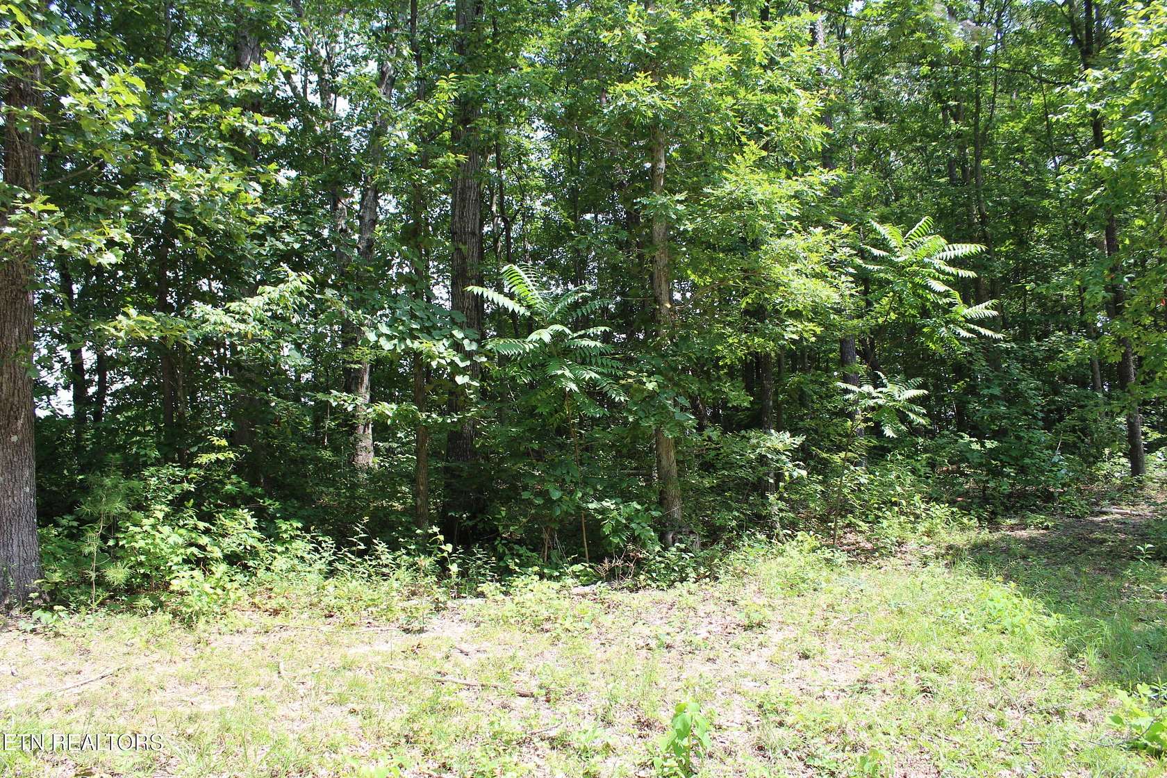 4.89 Acres of Land for Sale in Jamestown, Tennessee