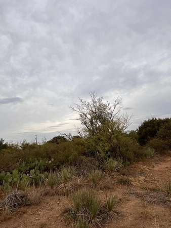 0.33 Acres of Residential Land for Sale in Spur, Texas