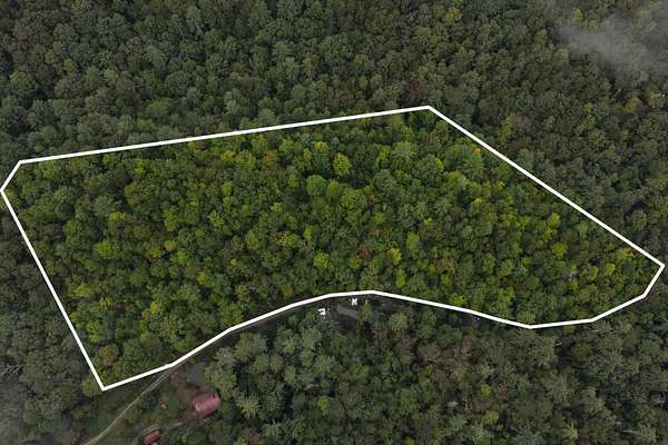 11.2 Acres of Land for Sale in Ellijay, Georgia