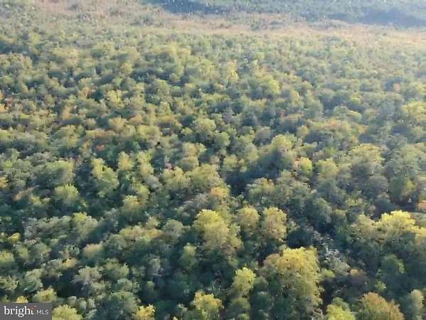 74.7 Acres of Land for Sale in Port Norris, New Jersey