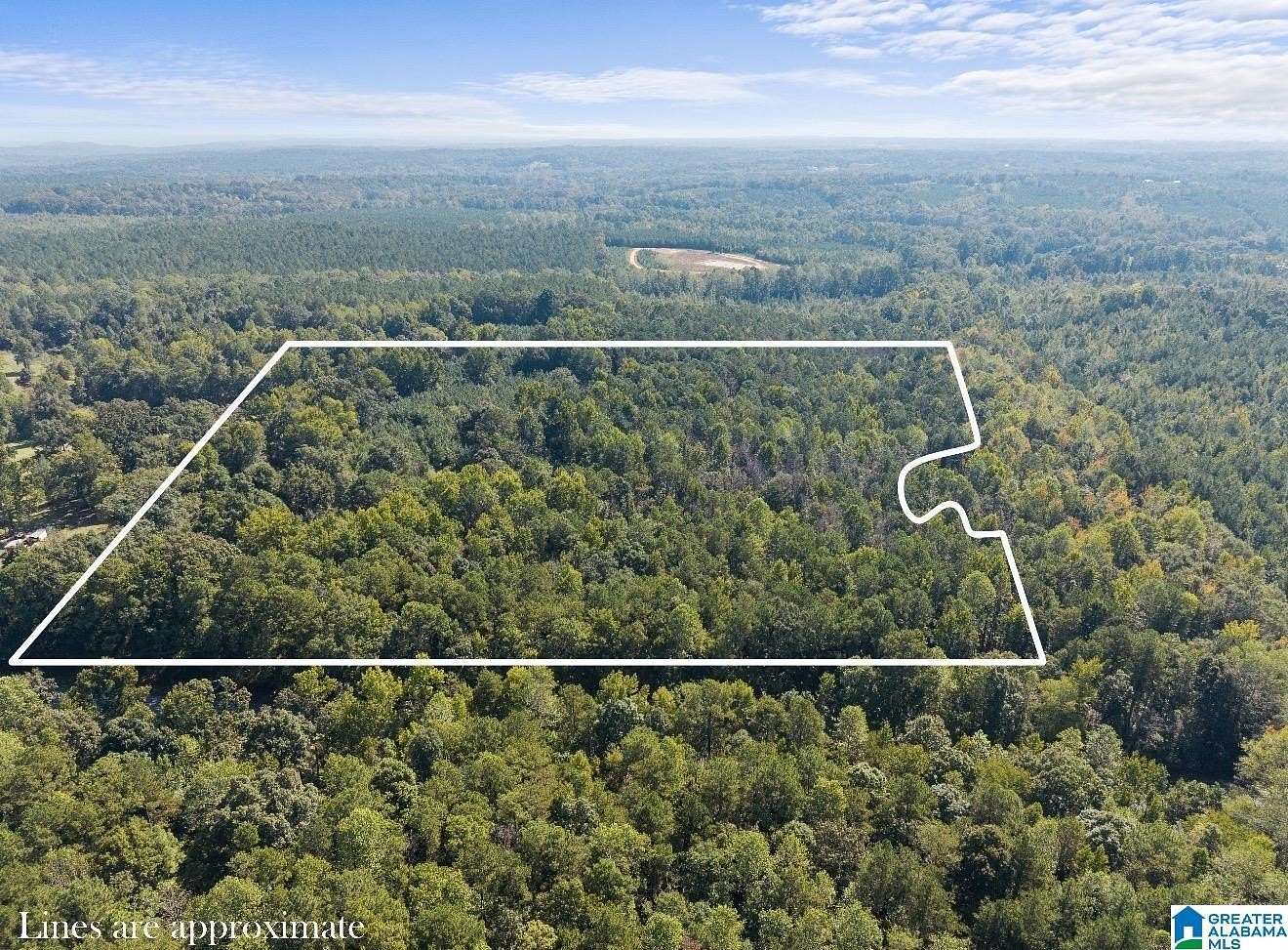 28.9 Acres of Recreational & Residential Land for Sale in Clanton, Alabama
