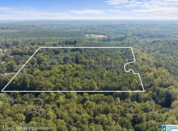 28.9 Acres of Recreational & Residential Land for Sale in Clanton, Alabama