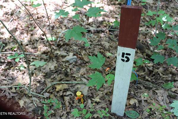 5.67 Acres of Land for Sale in Jamestown, Tennessee