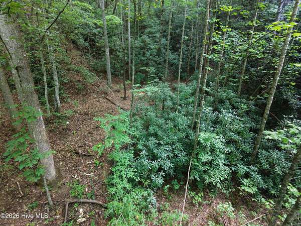 11.4 Acres of Recreational Land for Sale in Andrews, North Carolina