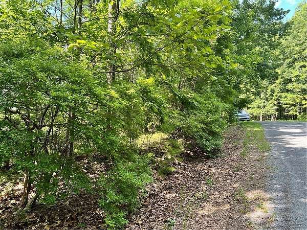 1.46 Acres of Land for Sale in Ranger, Georgia