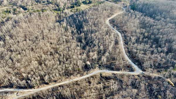 13.2 Acres of Land for Sale in Sunbright, Tennessee