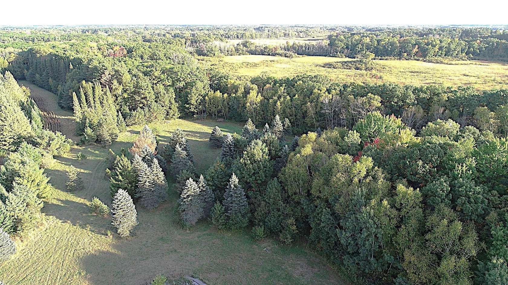 36.4 Acres of Recreational & Residential Land for Sale in Linwood Township, Minnesota