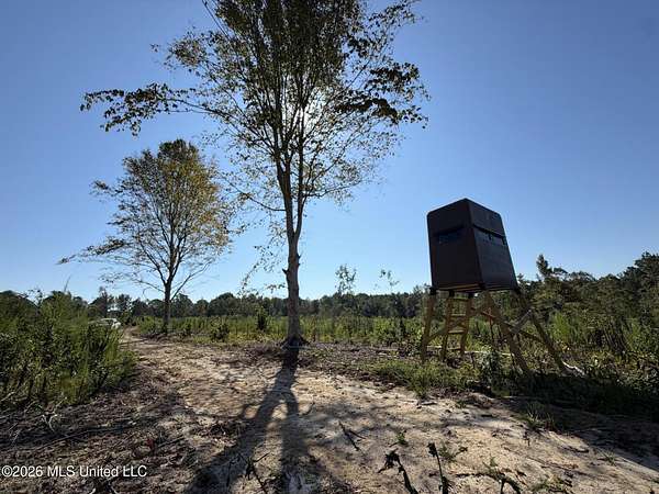 104 Acres of Recreational & Residential Land for Sale in Camden, Mississippi