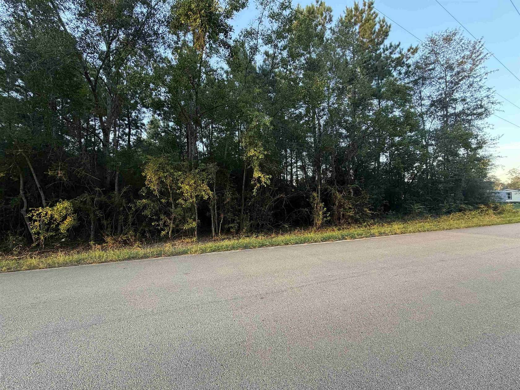 12 Acres of Recreational & Residential Land for Sale in Village Mills, Texas