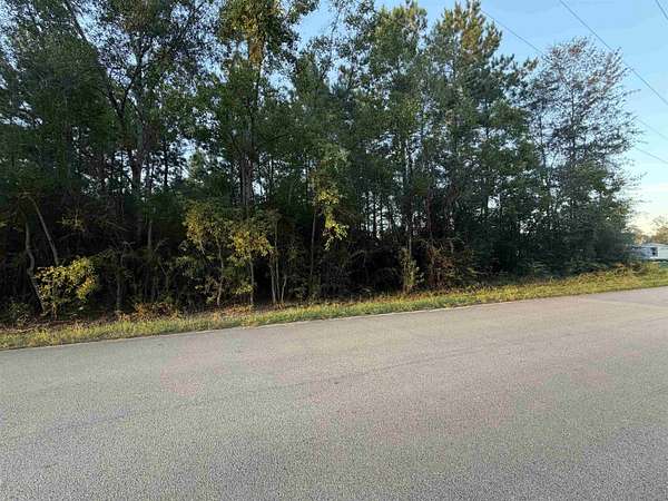 12 Acres of Recreational & Residential Land for Sale in Village Mills, Texas