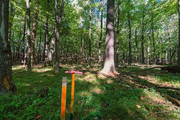 1.73 Acres of Land for Sale in Menomonie, Wisconsin