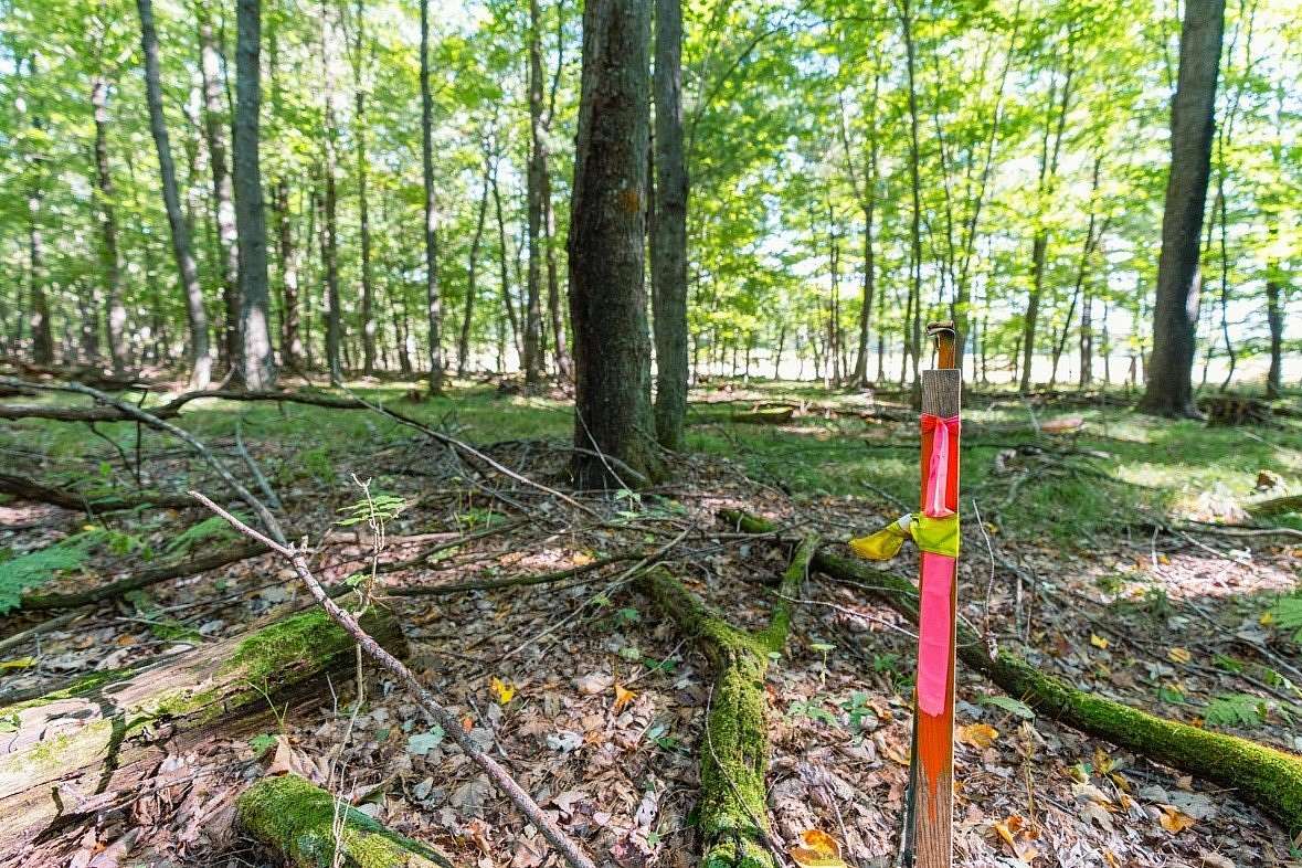 1.63 Acres of Land for Sale in Menomonie, Wisconsin