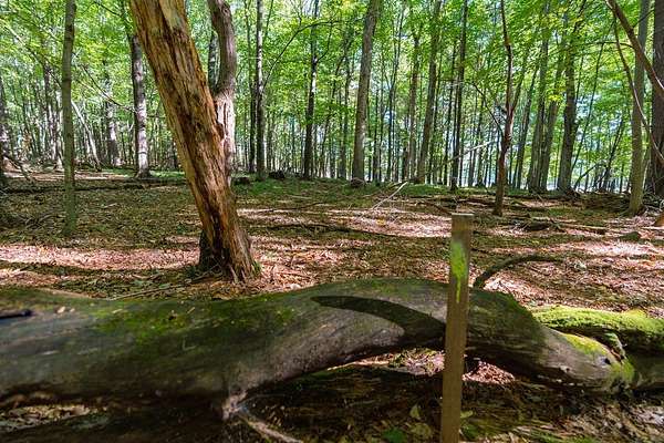 1.52 Acres of Land for Sale in Menomonie, Wisconsin