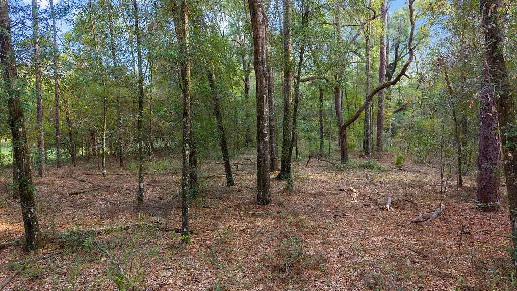 8.13 Acres of Residential Land for Sale in Old Town, Florida