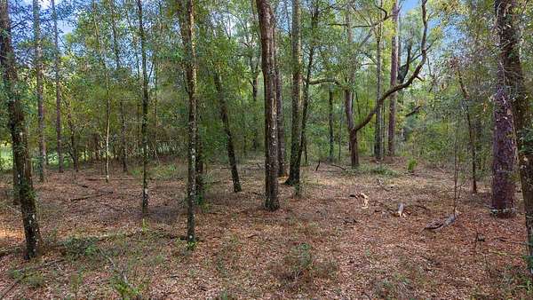 8.13 Acres of Residential Land for Sale in Old Town, Florida