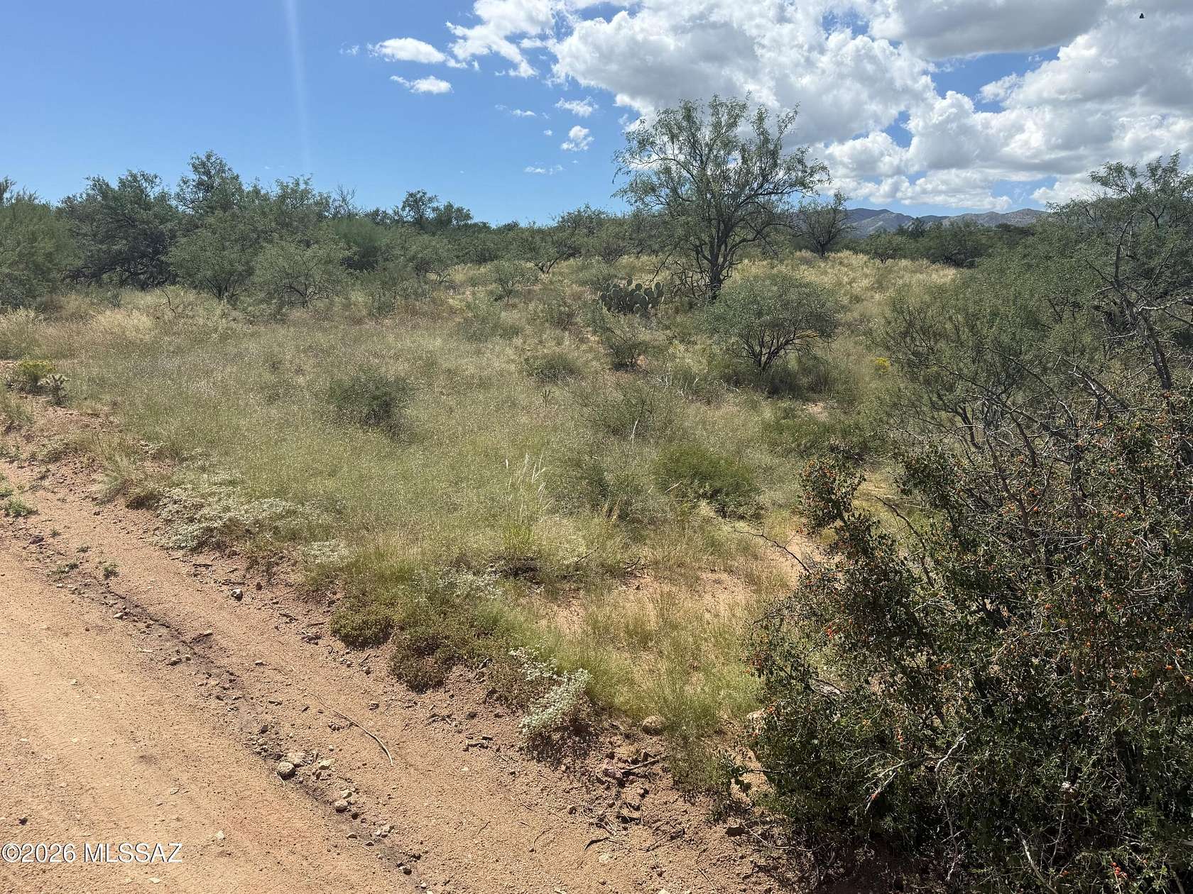 4.83 Acres of Land for Sale in Sahuarita, Arizona