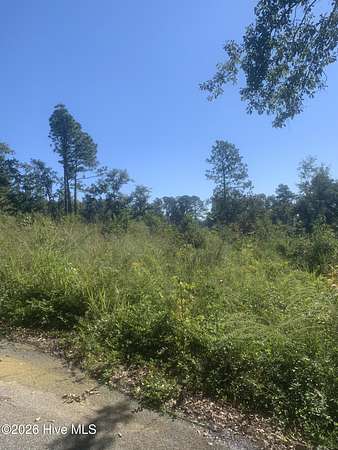 0.21 Acres of Residential Land for Sale in Augusta, Georgia