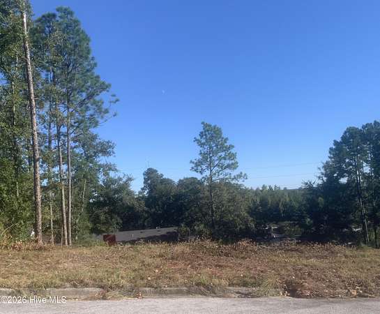 0.21 Acres of Residential Land for Sale in Augusta, Georgia